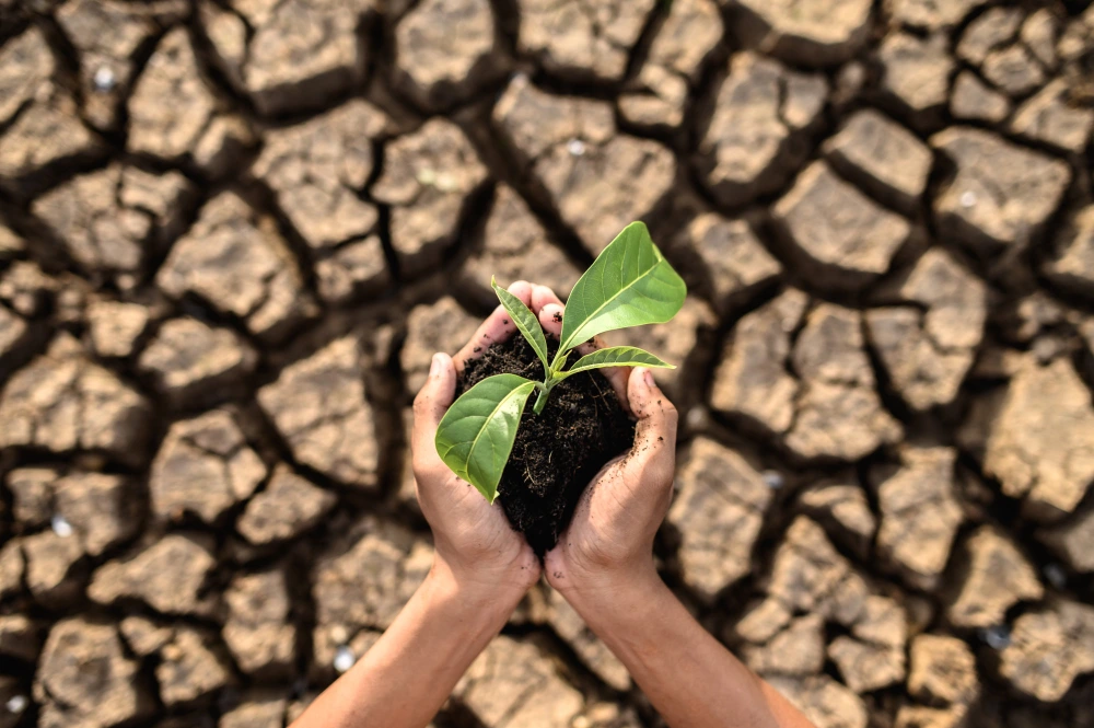 meteorologia para agronegócio ()